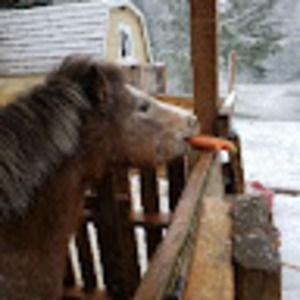 Meet your Posher, Krysten